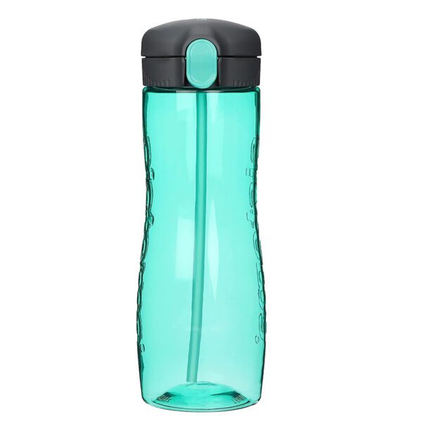 sistema hydrate bottle