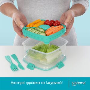 sistema_to_go_salad_max