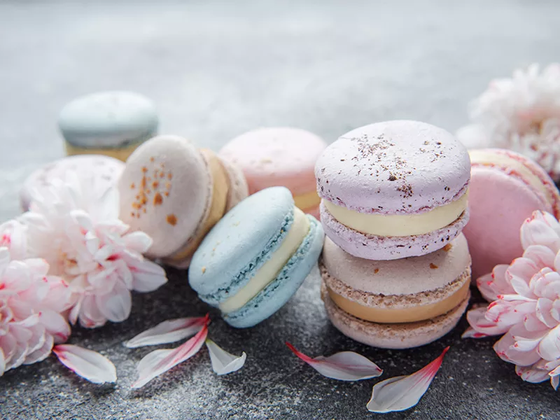 macaron-maregka