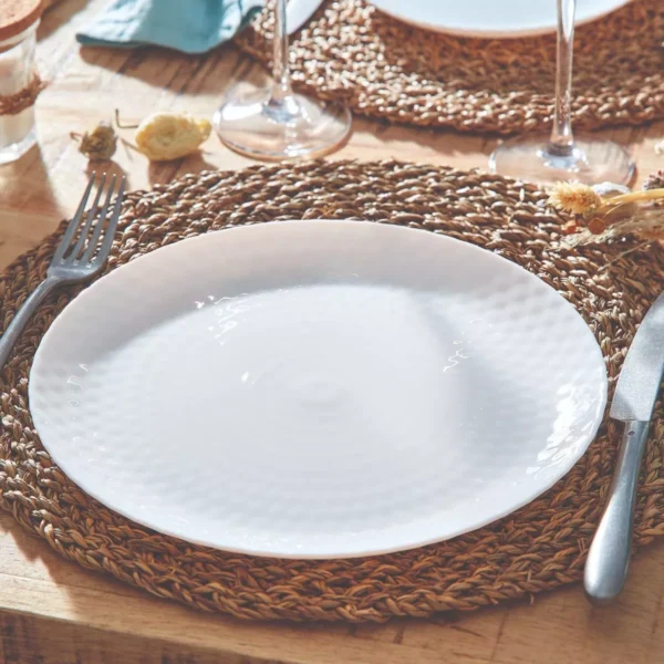 white plate opalina